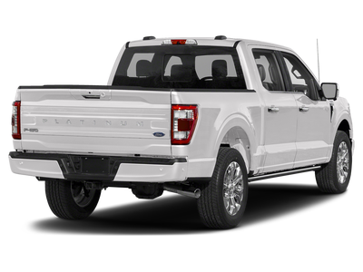 2023 Ford F-150 Platinum Platinum