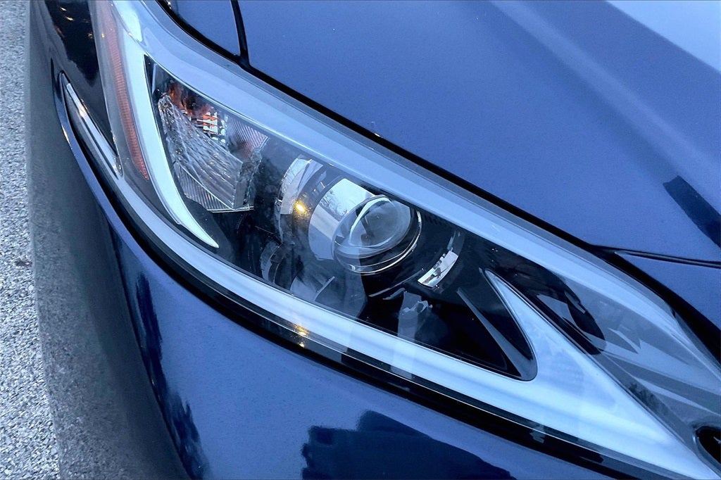 2019 Lexus ES 300h Luxury