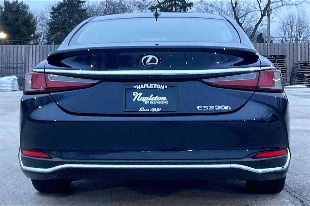 2019 Lexus ES 300h Luxury