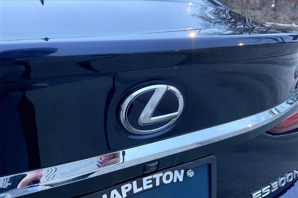 2019 Lexus ES 300h Luxury