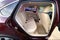 2013 Volkswagen Passat 2.5 SE w/Sunroof/Nav