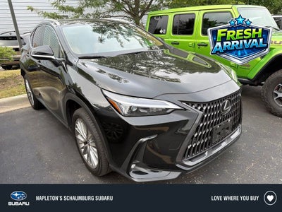 2025 Lexus NX 350 Premium