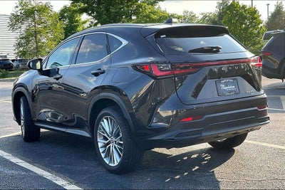 2025 Lexus NX 350 Premium