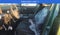 2026 Hyundai IONIQ 9 Performance Calligraphy