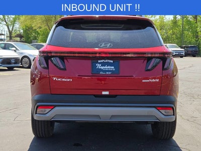 2025 Hyundai Tucson Hybrid Limited