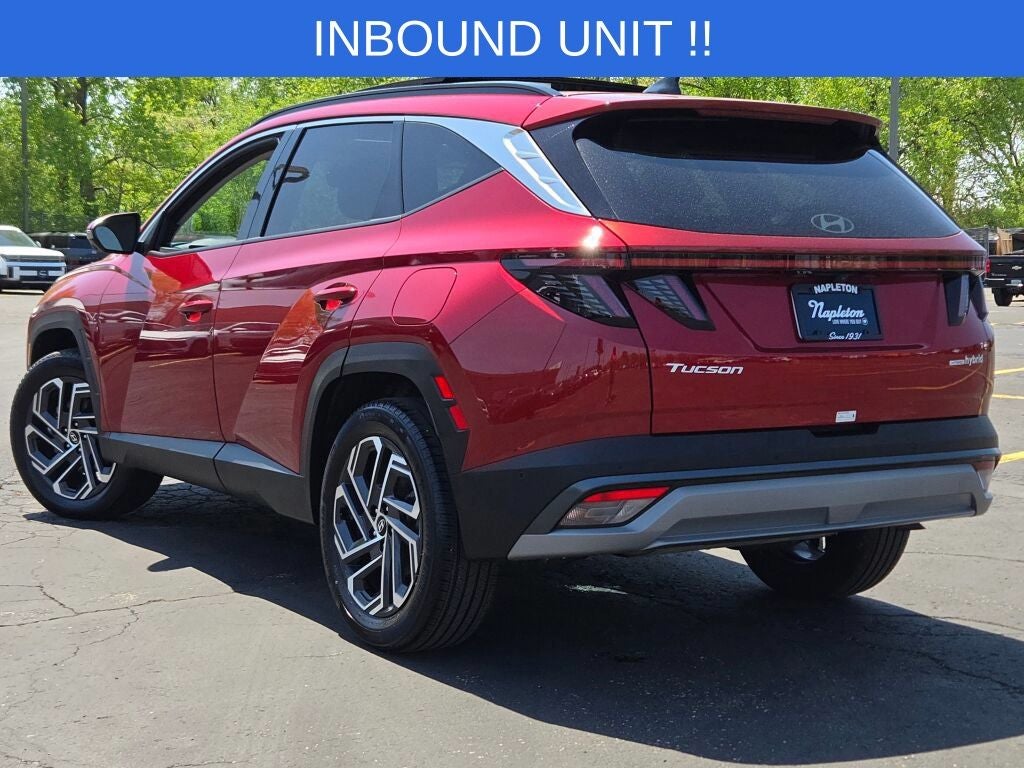 2025 Hyundai Tucson Hybrid Limited