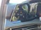 2024 Volkswagen Golf GTI 2.0T SE